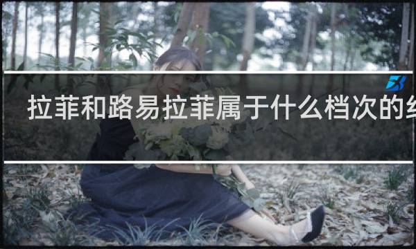 拉菲和路易拉菲属于什么档次的红酒