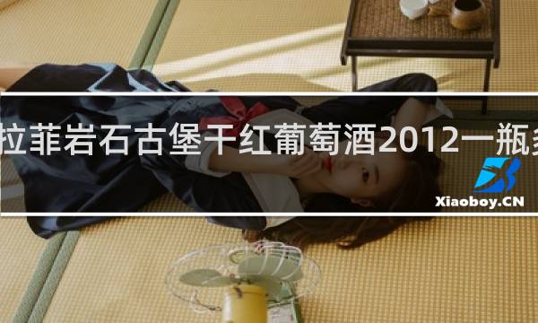 拉菲岩石古堡干红葡萄酒2012一瓶多少钱