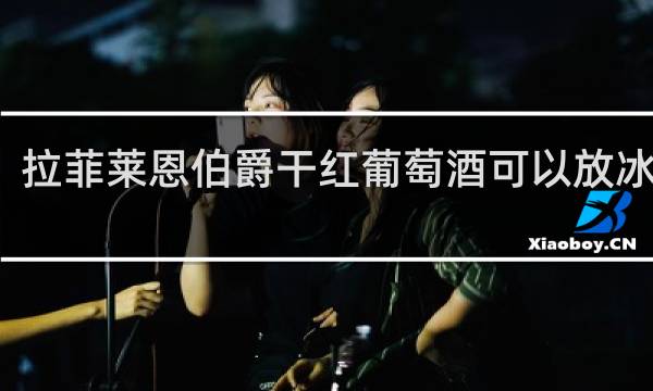 拉菲莱恩伯爵干红葡萄酒可以放冰箱吗