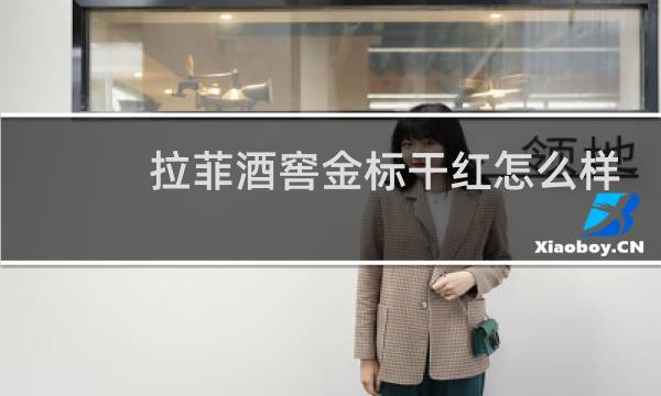 拉菲酒窖金标干红怎么样