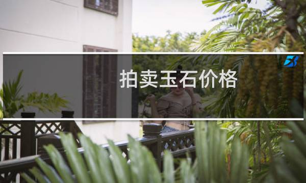 拍卖玉石价格