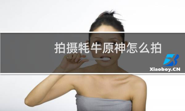 拍摄牦牛原神怎么拍