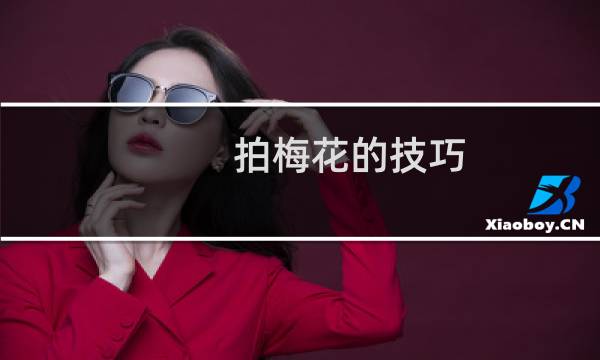 拍梅花的技巧