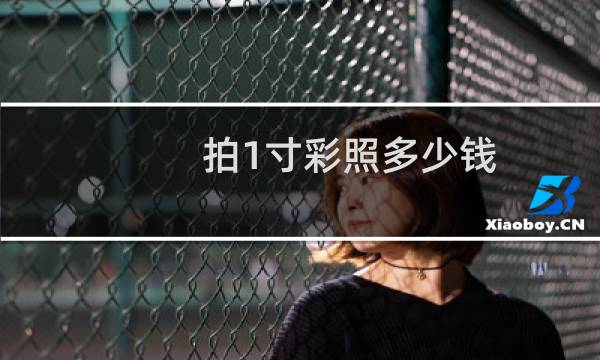 拍1寸彩照多少钱