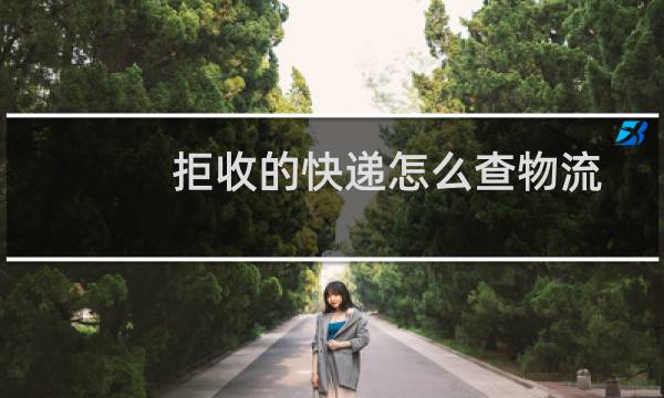 拒收的快递怎么查物流