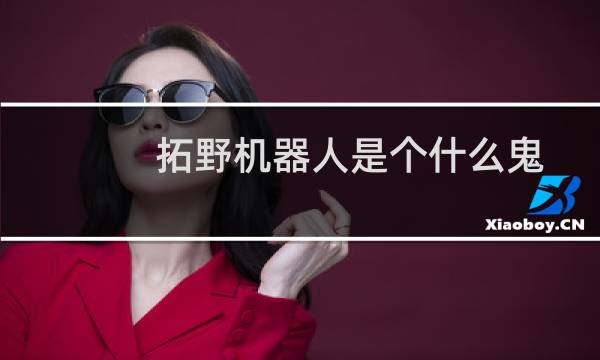 拓野机器人是个什么鬼