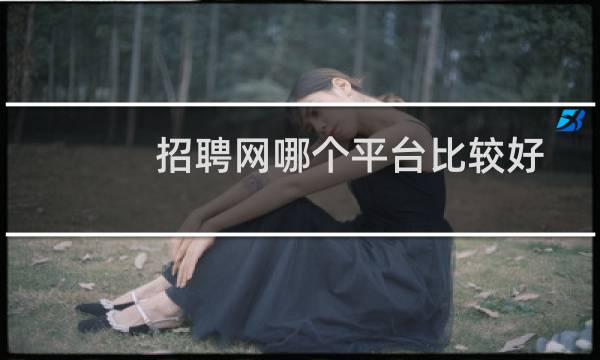招聘网哪个平台比较好