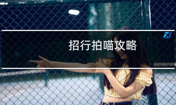 招行拍喵攻略