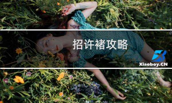 招许褚攻略