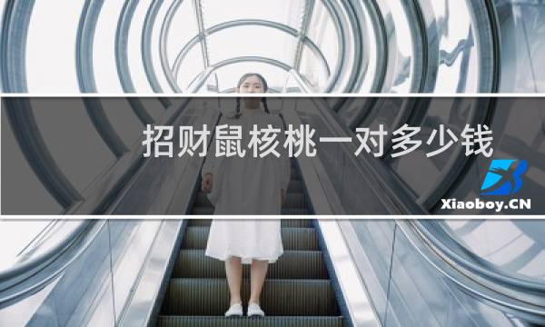 招财鼠核桃一对多少钱