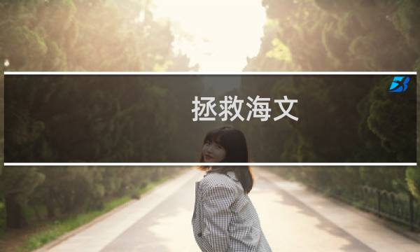 拯救海文 攻略