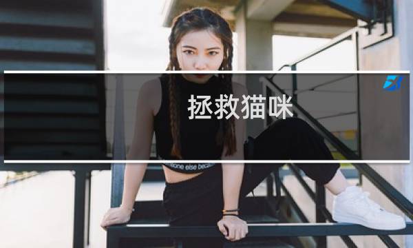 拯救猫咪 攻略