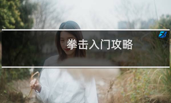 拳击入门攻略