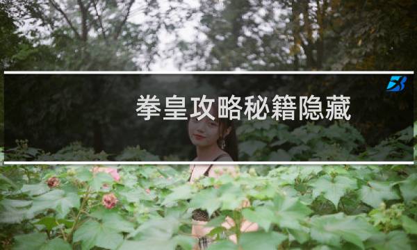 拳皇攻略秘籍隐藏