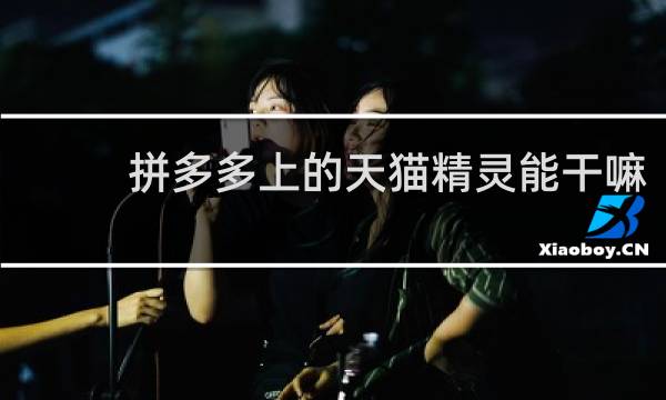 拼多多上的天猫精灵能干嘛