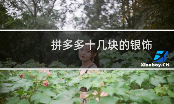 拼多多十几块的银饰