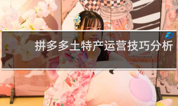 拼多多土特产运营技巧分析