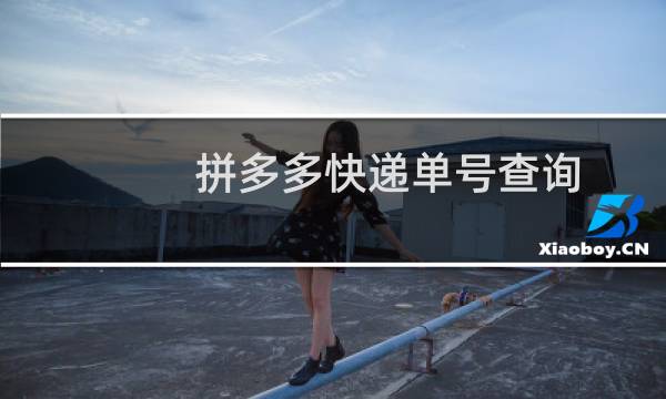 拼多多快递单号查询