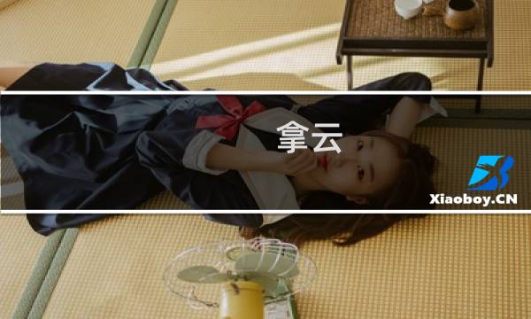 拿云 攻略