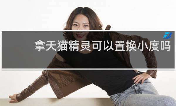 拿天貓精靈可以置換小度嗎