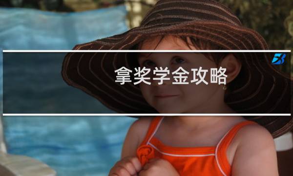 拿奖学金攻略