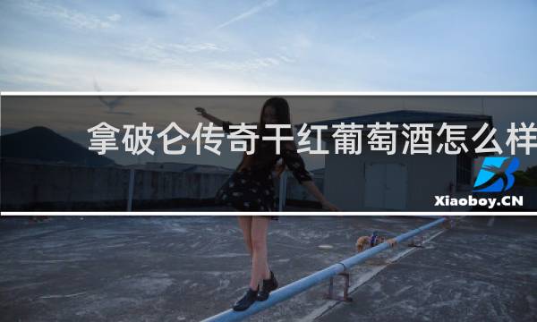拿破仑传奇干红葡萄酒怎么样