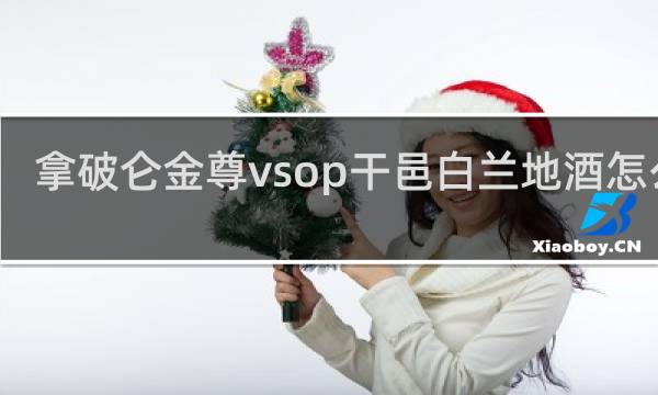 拿破仑金尊vsop干邑白兰地酒怎么样