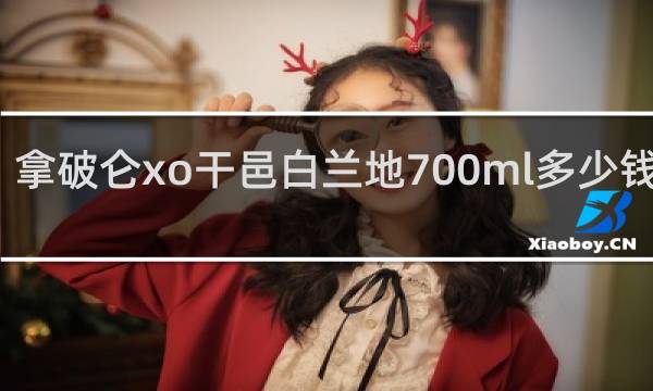 拿破仑xo干邑白兰地700ml多少钱一瓶