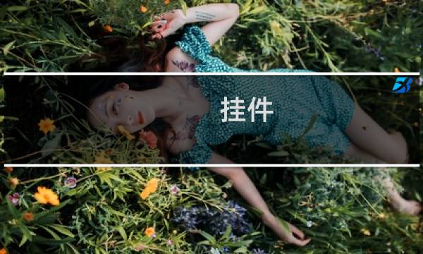 挂件 剑网3 任务