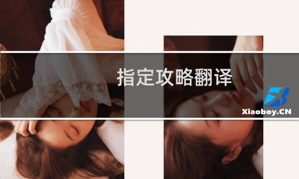 指定攻略翻译