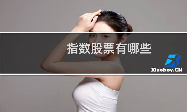 指数股票有哪些