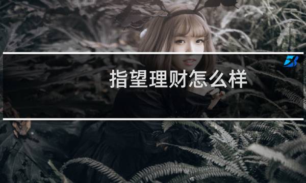 指望理财怎么样