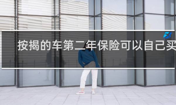 按揭的车第二年保险可以自己买吗
