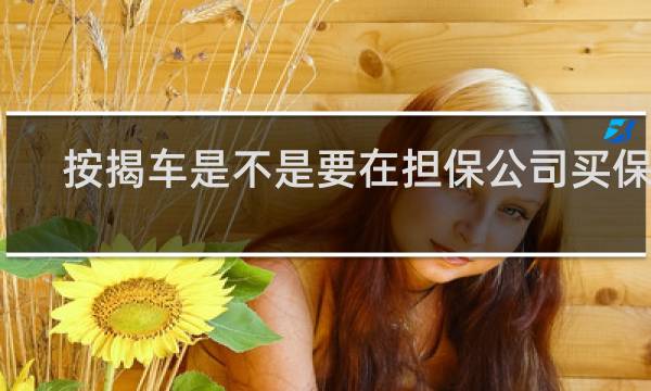 按揭车是不是要在担保公司买保险