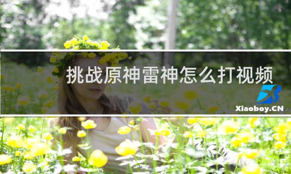 挑战原神雷神怎么打视频