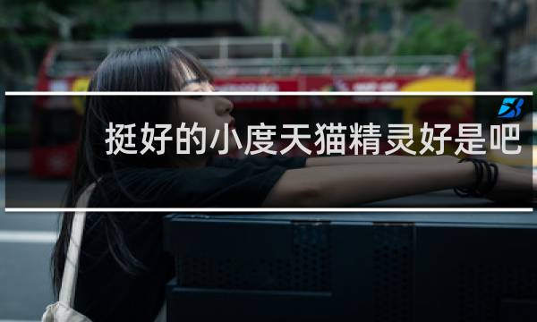 挺好的小度天猫精灵好是吧
