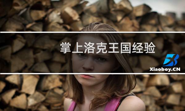 掌上洛克王国经验
