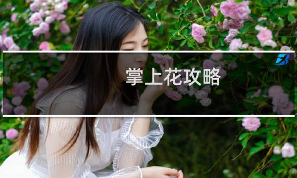 掌上花攻略