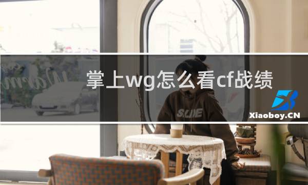 掌上wg怎么看cf战绩