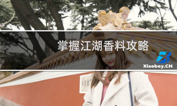掌握江湖香料攻略