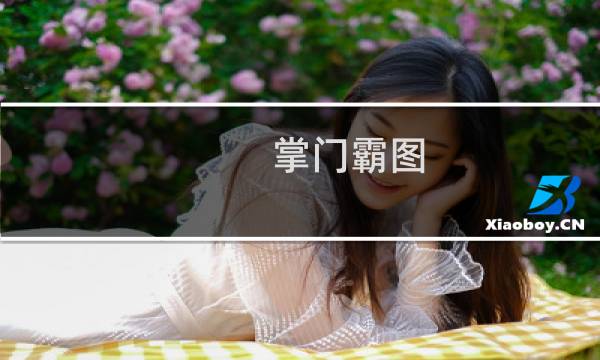 掌门霸图 攻略