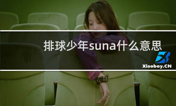 排球少年suna什么意思