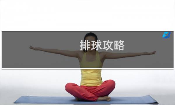 排球攻略