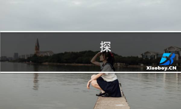 探 攻略