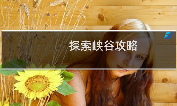 探索峡谷攻略