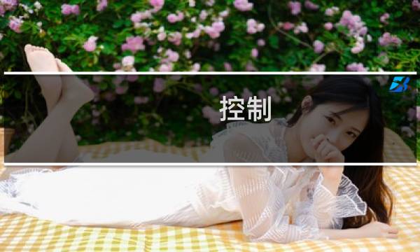 控制 图文攻略