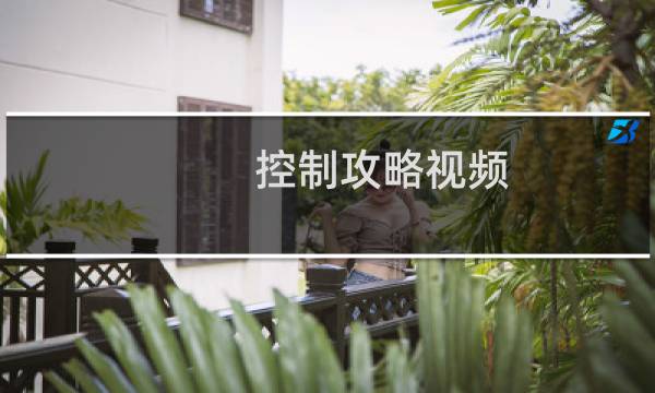 控制攻略视频