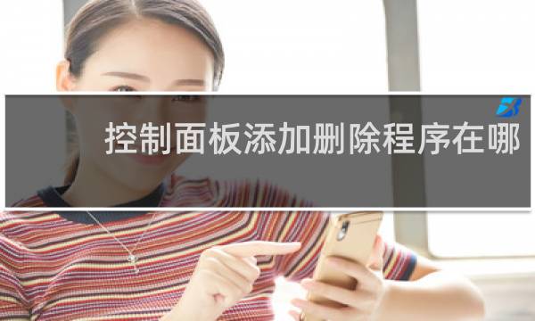 控制面板添加删除程序在哪