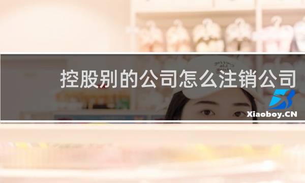 控股别的公司怎么注销公司
