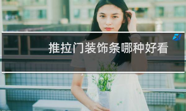推拉门装饰条哪种好看